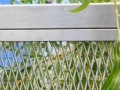 detail predného plota